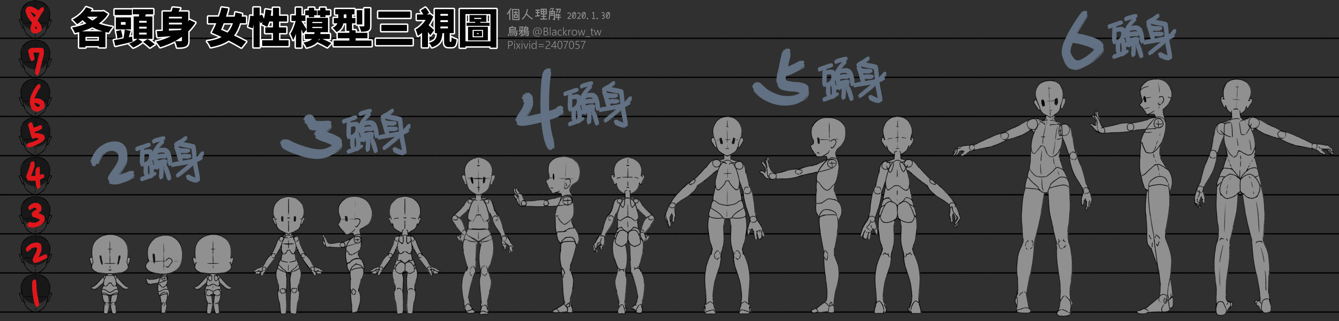 各頭身 女體模型三視圖